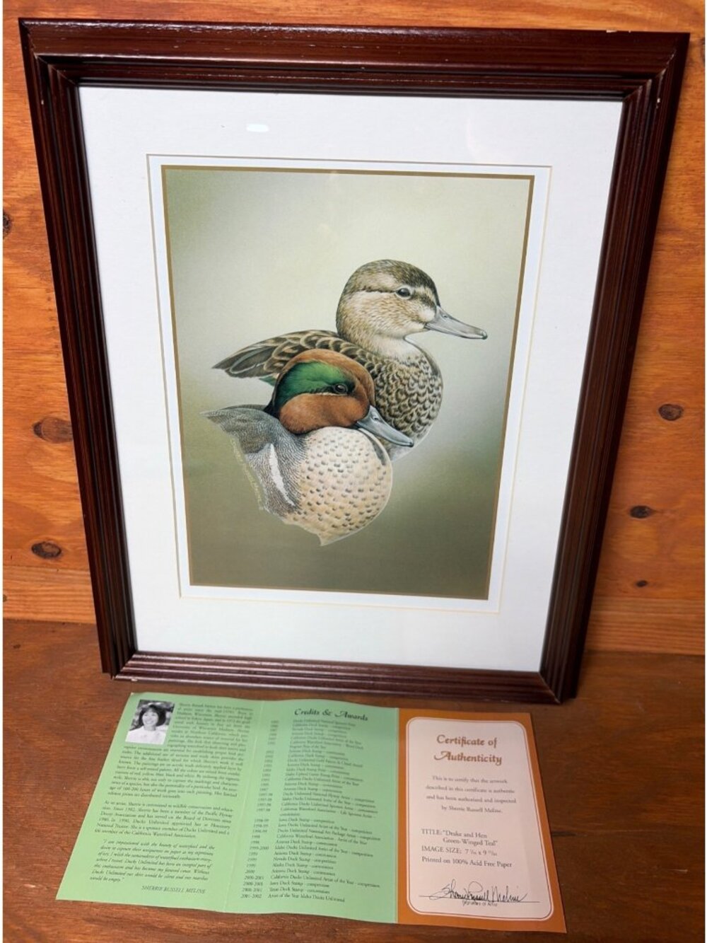 Drake And Hen Green-Winged Teal Framed Print By Sherrie Russell Meline w/ COA